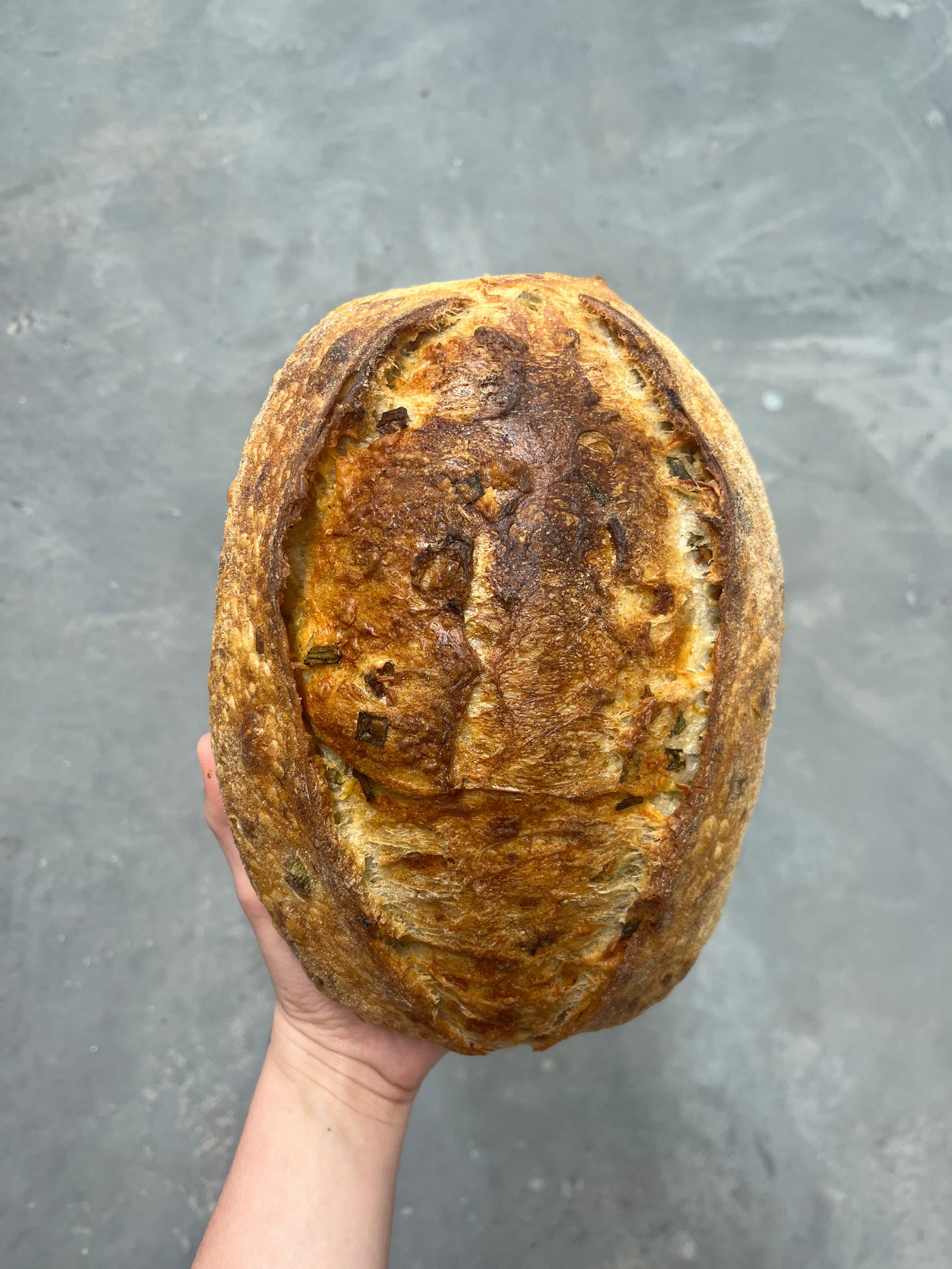Cheddar & Green Onion Loaf SEAFOLK SOURDOUGH